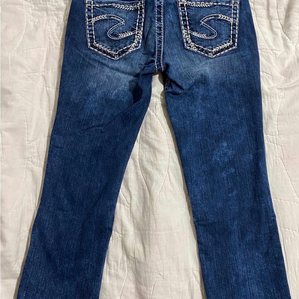 Silver Capris - image 2